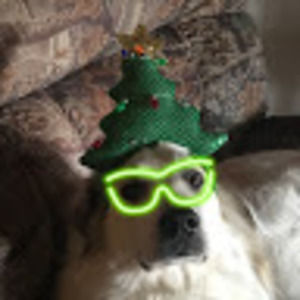 Meet your Posher, Abigail